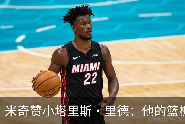 米奇赞小塔里斯·里德：他的篮板嗅觉无可替代